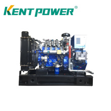 High Quality 20kw-2000kw Biogas Generator with CHP Set Automatic Start Ce ISO